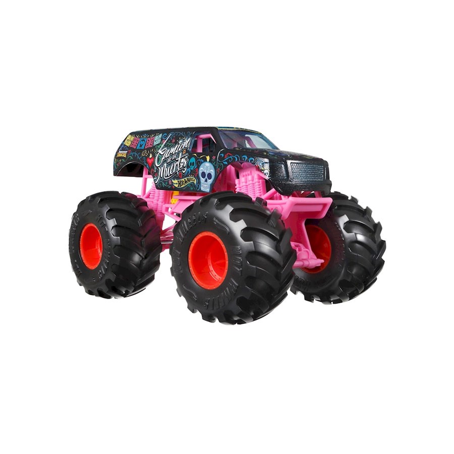 Hot Wheels Monster Trucks 1:24 Arabalar Gtj40