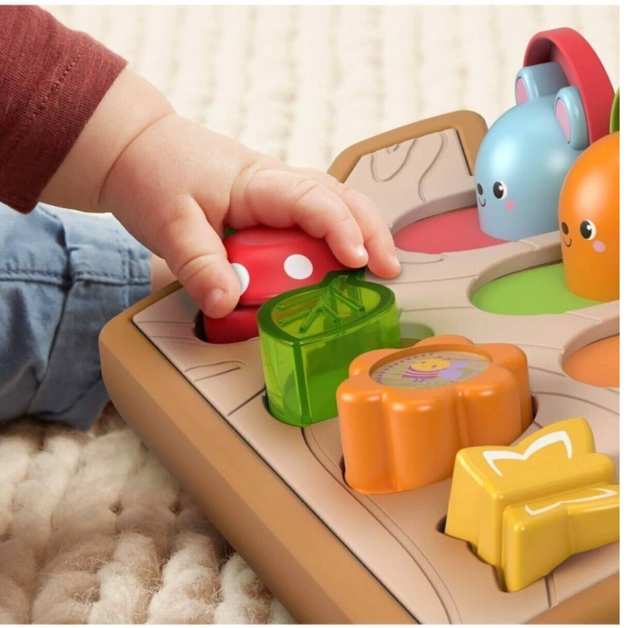 Fisher Price Sürprizli Arkadaşlar 