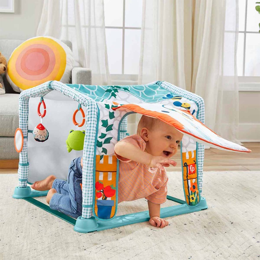 Fisher-Price 3ü 1 Arada Sevimli Kulübe Jimnastik  