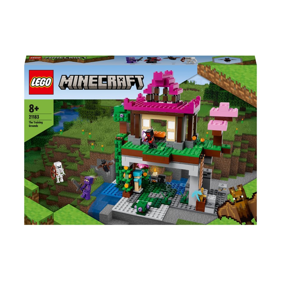 Lego Minecraft Eğitim Alanı 