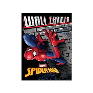 Spiderman Kareli Defter A5 40 Yaprak